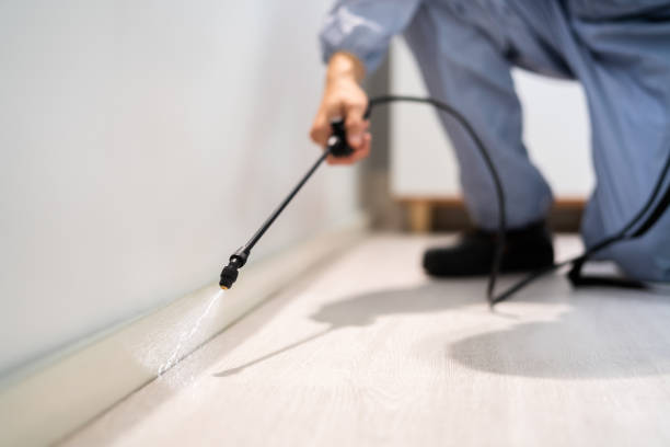 Licensed Pest Control service in Bloomingburg, OH - Show Me Pest Control